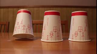 The 3 Shell Game - StopMotion