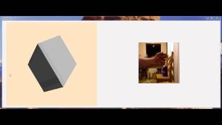 Famous Kinect Experiment using DarkGDK.net Profile