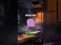 CAMUFLAJE “AZALEA ” | Cómo desbloquearlo en Black Ops 7