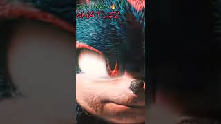 Httpsyoutubecomshorts5sag3efe48ysinhlidlgalndsllb