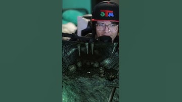 Did we mention Myles is scared of spiders?!?! #shorts #penumbra #arachnaphobia