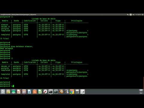 Postgresql Crear copia Base de datos y Restaurar desde copia