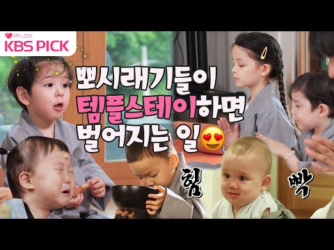 [#슈퍼맨이돌아왔다] 뽀시래기들👶🏼👧🏻이 #템플스테이🙏🏻하면 벌어지는 일...😍