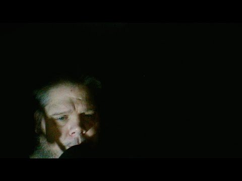 pythons for sale Late Night With Andrew (DEA)