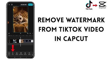 How To Remove Watermark From TikTok Video In CapCut (2025)