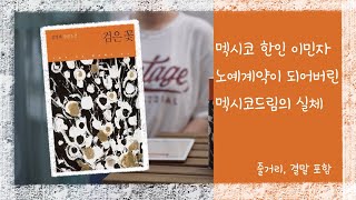 검은 꽃 -김영하 (1905년, 멕시코로 향한 한인노동자들의 뼈아픈 이야기) 스포, 줄거리, 결말포함 검은 꽃 -김영하 (1905년, 멕시코로 향한 한인노동자들의 뼈아픈 이야기) 스포, 줄거리, 결말포함