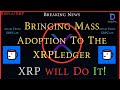 Ripplexrp adam kagy from xrpcafe bringing mass adoption to the xrpledger