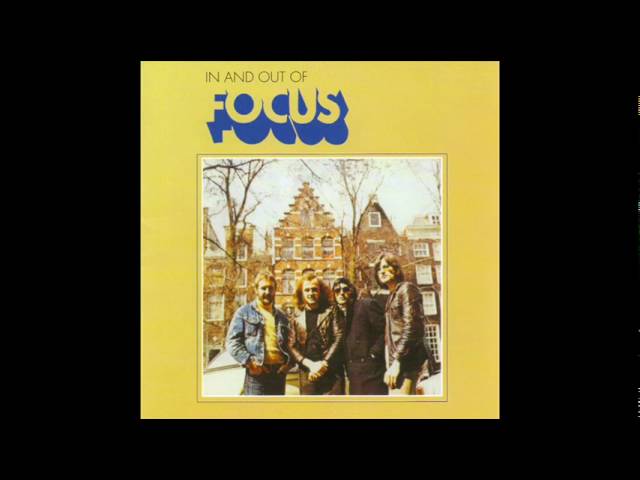 Focus - Black Beauty