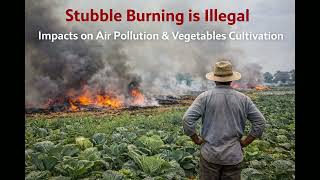 NOV 2025 - STUBBLE BURNING IS ILLEGAL AND IMPACT ON AIR POLUTION & VEGETABLES.