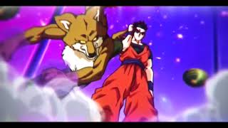 DragonBall Z Mini Mep