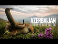 Azerbaijan Tur Hunt