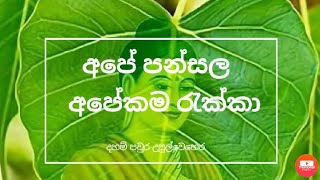 Rajamaha Viharaya Upulvehera, song, new miusi my temple Travel channel, sinhala, new, travel channel screenshot 5