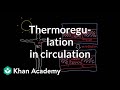 Maintaining Body Temperature Through Exercise and Skin Function