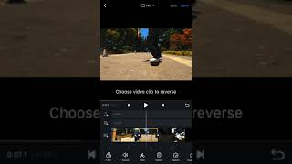 Tutorial: how to reverse video on the app screenshot 5