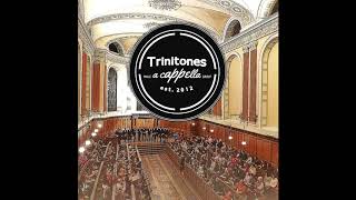 7 Rings - Trinitones
