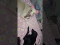 Dabba nhi h iphone 16 hai #funny #love #cute