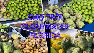 CHỢ TRỜI CLEARWATER - TAMPA FLORIDA CUỘC SỐNG MỸ