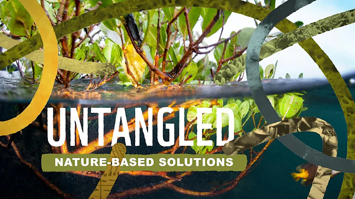 Untangled: Nature-Based Solutions - DayDayNews