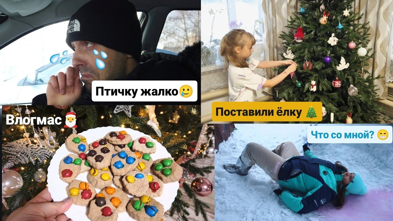 Нарядили ёлку!/Катаемся с горки/Печем новогодние печенья