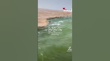 سورة الفرقان🍁 /وهو الذي مرج البحرين❤️ #قرآن #محمد_اللحيدان