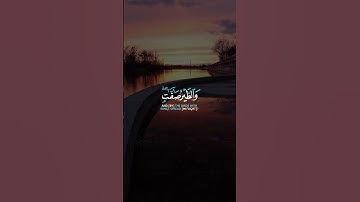 تلاوة خاشعة تهدئ النفوس 🎧💙 3