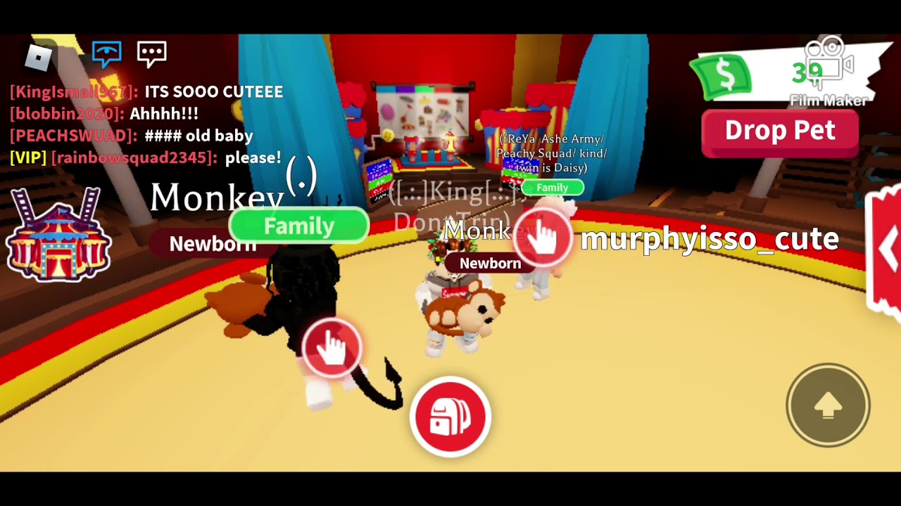 😲 NEW MONKEY UPDATE!!! 😲 - YouTube