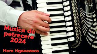 Download Lagu Hora tiganeasca de joc acordeon 2024 Download Lagu Hora tiganeasca de joc acordeon 2024