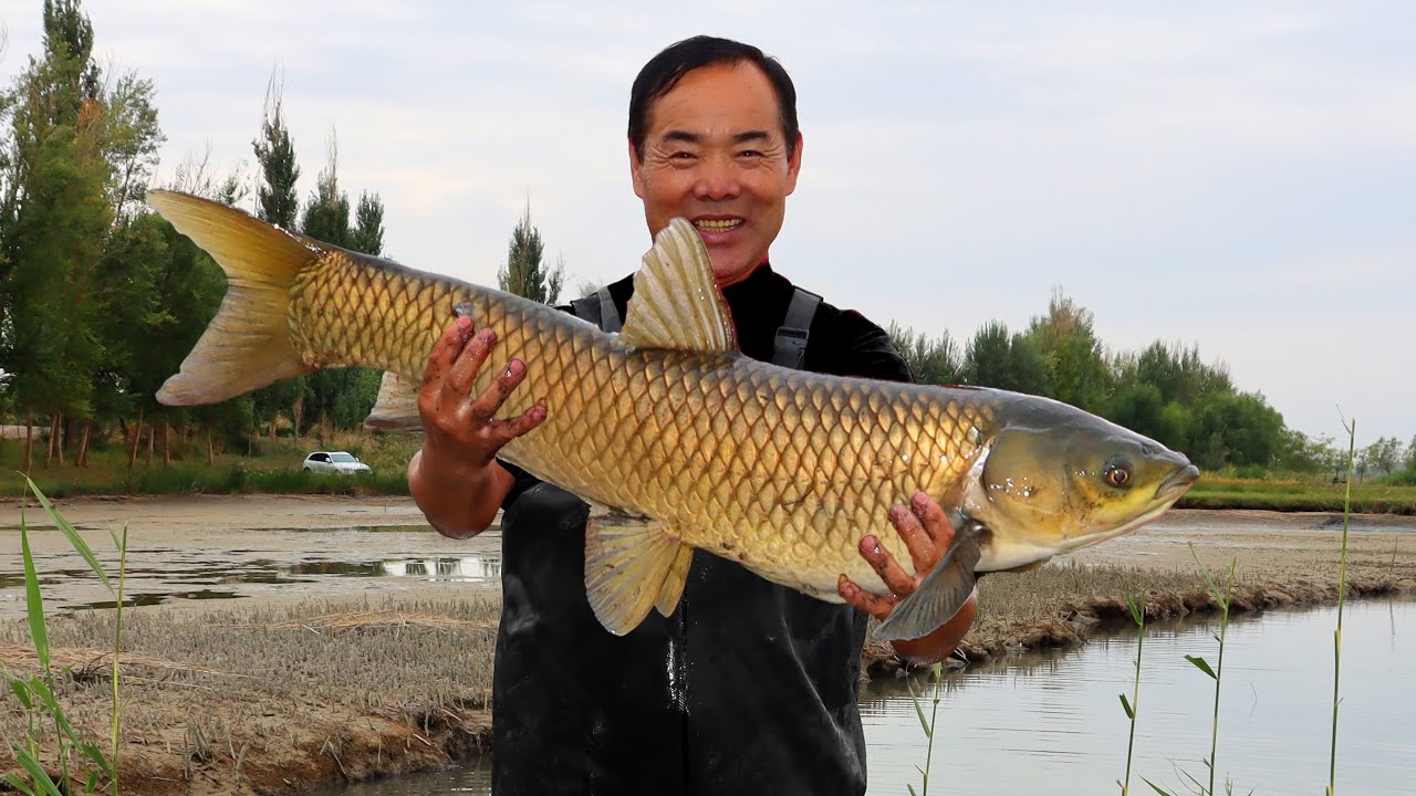 2 гигантские рыбы, только что пойманные, приготовленные с овощами и тофу в деревенском рагу!