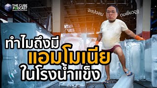 ทำไมโรงน้ำแข็งมีแอมโมเนียรั่ว? จะเป็นลมดมเยี่ยวอูฐ - เล่าเข้มๆ | The Cube Podcast