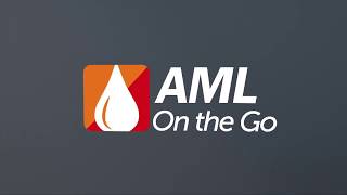 AML On The Go  - AML: State of the Art and the Summer of 2017 Module 2 of 2 Wealth