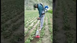 Pubert Weeder W4 HD