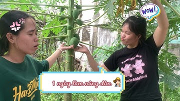 Thực địa Củ Chi