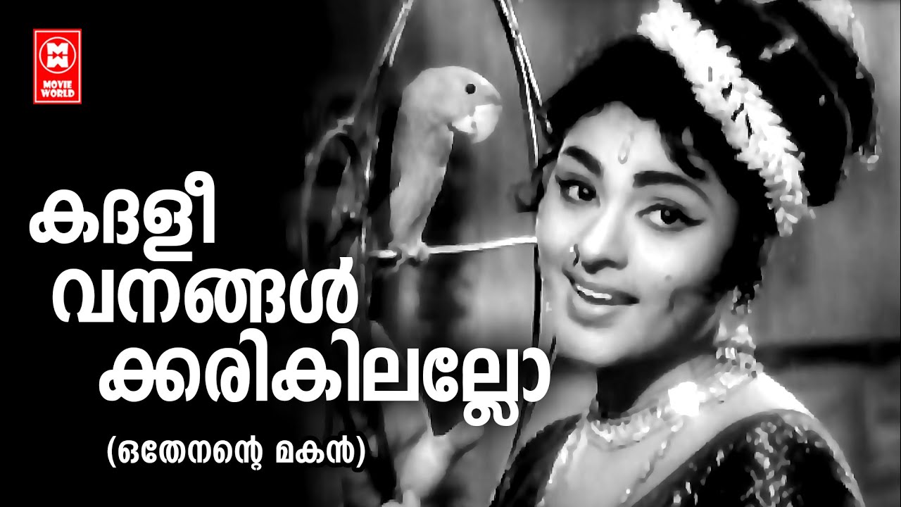 Kadhalivanangalkarikilallo | Othenante Makan | Vayalar | G Devarajan | P Susheela | Vijayasree
