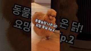 아빠랑 잘꺼닭!!