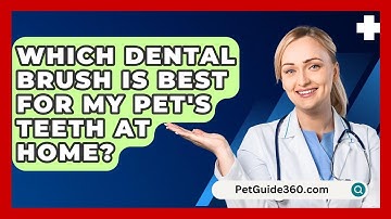 Which Dental Brush Is Best For My Pet