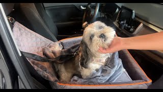 HONEST Review & Unboxing Car Seat For Dogs Dianyere! ✅  #amazon #amazonfinds screenshot 5