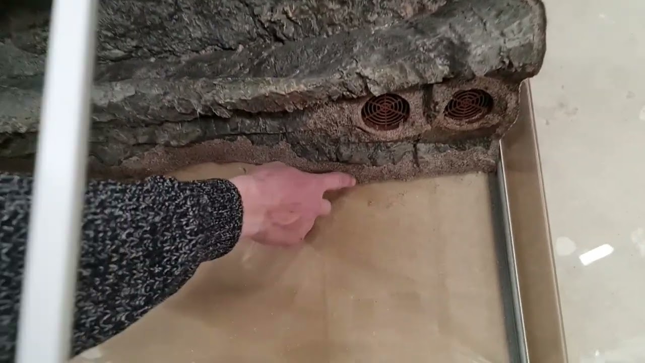 Akvastabil Fusion 325 L med RockZolid Papua baggrunden