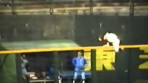 Japan Left Fielder Scales Wall To Make Unbelievable Catch!