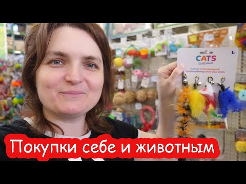 Видео: VLOG Покупки в зоомагазине и Эпицентре. Рисую картину по номерам