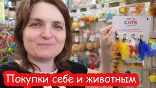 VLOG Покупки в зоомагазине и Эпицентре. Рисую картину по номерам