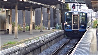 相模線 E131系500番台 G-09編成 小田急・JR東日本合同企画団体列車 厚木駅通過