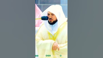 أليس ذلك بقادرٍ على أن يحيي الموتى ~ تلاوة إبداعية من أجمل تلاوات الشيخ ماهر المعيقلي❤