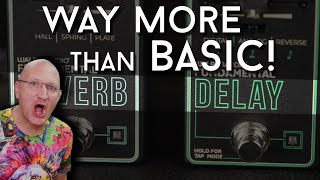 MORE THAN MEETS THE EYE - Walrus Audio Fundamental Delay and Reverb