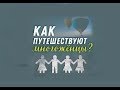 Как Путешествуют Многоженцы??