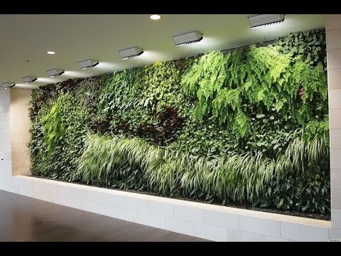 Come realizzare un quadro vegetale giardino in verticale pro e ... Come costruire un giardino verticale