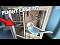 DIY Budgie Cage (Budgie Flight Cage | Parakeet)