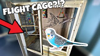 DIY Budgie Cage (Budgie Flight Cage | Parakeet)