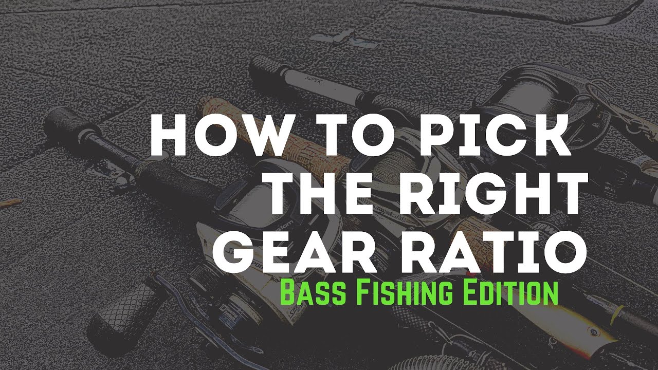 How to Select the Right Gear Ratio Fishing Reel (2024) - Bass Blog