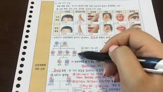 7-2.단일인자유전, 다인자유전