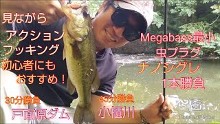 (6/17&当日)メガバス最小虫プラグ、ナノシグレ1本で遊ぶ!(バス釣り)